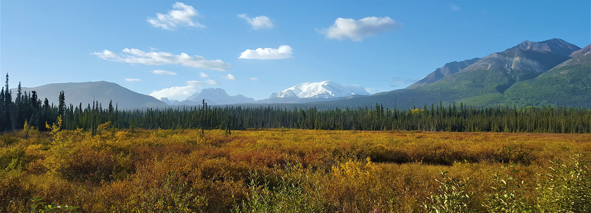 Views of Alaska - Explore McCarthy